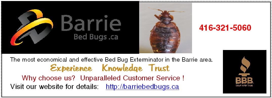 Barrie Bed Bug