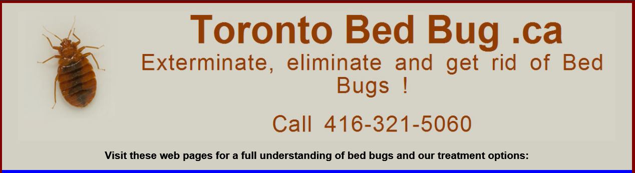 Toronto Bed Bug