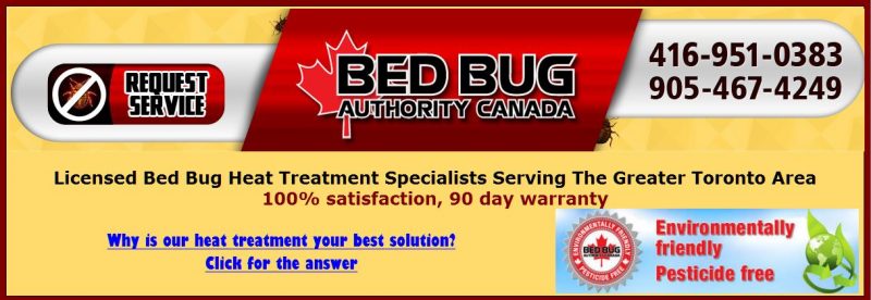 Bed Bug Control