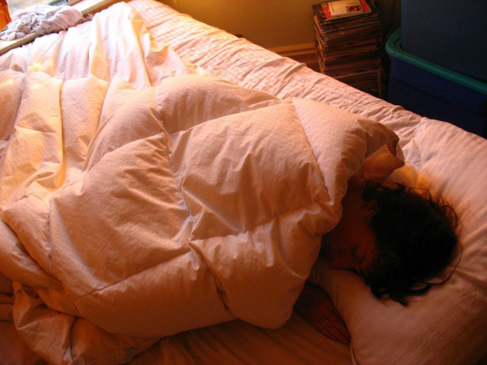 Bedbug in beds
