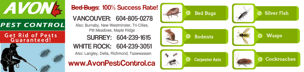 Avon Pest Control